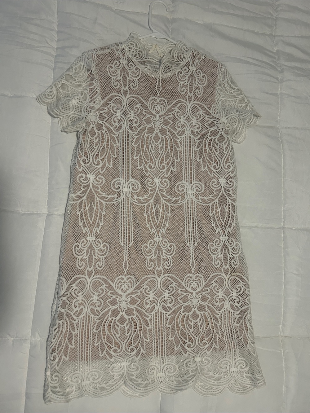 Ivory Lace Mesh Mini Dress with High Neckline